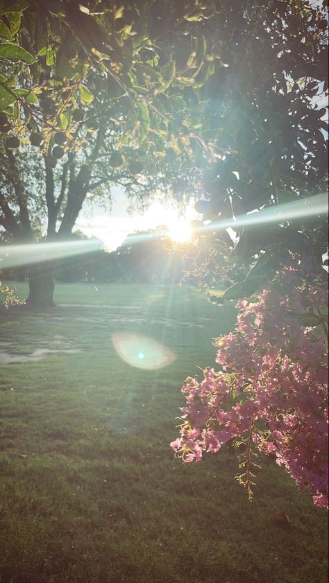 Sunny day on the golf course. Summer vibes. What To Do On A Sunny Day At Home, Sunny Summer Day, Hot Day, Sunny Day Aesthetic, Sunny Day, Sunny Day Pictures, Rainy Sky, Amazing Gumball, Kids Novels