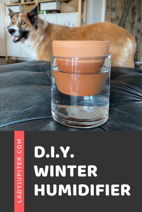 D.I.Y. Winter Humidifier – Lady Jupiter Diy Plant Humidifier, Diy Humidifier Homemade, Radiator Humidifier, Homemade Humidifier, Water Humidifier, Diy Humidifier, Humidifier Diy, Ikea Planters, Accessible Design