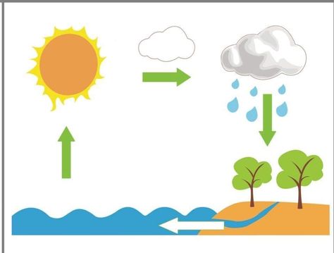 Water Cycle Worksheet, Shapes Worksheet Kindergarten, Body Parts Preschool, Wolf Colors, Easy Cartoon Drawings, Shapes Worksheets, Earth Day Activities, Water Projects, Water Day