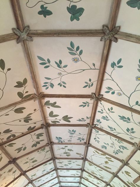 Gorgeous painted ceiling with leaves and vines Decorated Ceiling, Ceiling Painting, Ceiling Murals, Wallpaper Ceiling, House Gardens, Ceiling Panels, Painted Ceiling, Painted Leaves, Ceiling Design