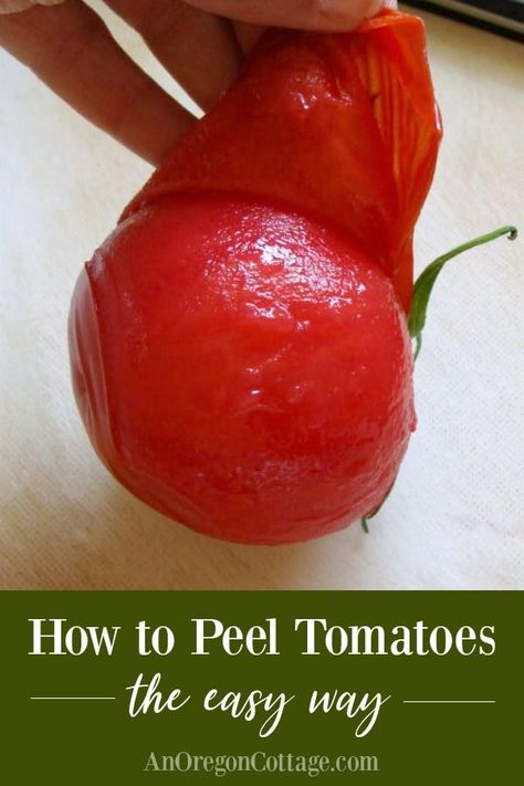 Peeling Tomatoes, Peel Tomatoes, Freezing Tomatoes, Tomato Pruning, Tomatoes In Containers, Canning And Preserving, Pressure Canning Recipes, Tomato Farming, Growing Tomatoes In Containers