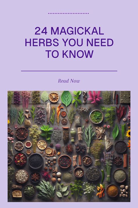 Are you ready to explore the world of magick through herbs? Our list of 24 essential magickal herbs will guide you on how you can incorporate these plants into your witchcraft practice. Each herb is packed with unique properties and magical uses, perfect for spiritual rituals and herbal remedies. Whether you're making talismans, herbal teas, or simply enhancing your garden with powerful plants, this guide is here to inspire your journey. Discover how to grow and use these enchanting spiritual plants to enrich your life and magical practices! Herbs And Their Magical Properties, Ancient Herbal Remedies, Witchcraft Herbs Meanings List, Magic Herb Garden, Magickal Herbs Herbal Magic, Magical Herbs And Their Uses, Plant Powers Magic, Spiritual Plants, Herbalist Remedies