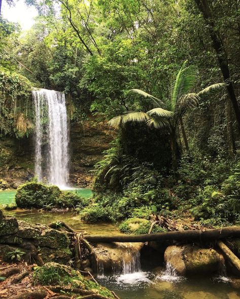 Dominican Republic is home to numerous different landscapes. White, sandy beaches for miles, tall trees, dunes, lakes, rivers, and mountains reaching the sky and cities rich with culture and history. Are you ready to explore with us? 📸:@SDEMAN  📍 Socoa, Monte Plata, Dominican Republic Dominican Republic Rainforest, Dominican Republic Photography, Dominican Republic Mountains, Sketchbooks Inspiration, Rivers And Mountains, Dominican Republic Tourism, Mamajuana Dominican Republic, Chasing Waterfalls, Lake Beach