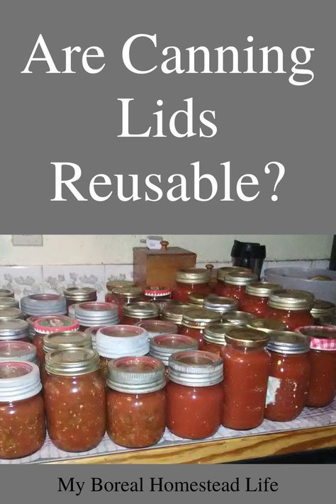 Reusing canning lids and reusing one piece lids is a viable option for home canners.  Photo showing tomato products canned reusing glass jars and reusing canning lids. Homestead Kitchen, Canning Kitchen, Canning Supplies, Long Term Food Storage, Canning Jam, Canned Meat, Canning Lids, Home Canning, Convenience Food