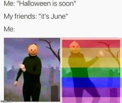 Funny Gay Memes, Bisexual Pride Quotes, Queer Pride Flag, Lgbt Memes, Lgbtq Funny, Gay Humor, Gay Memes, Book Memes, Best Memes