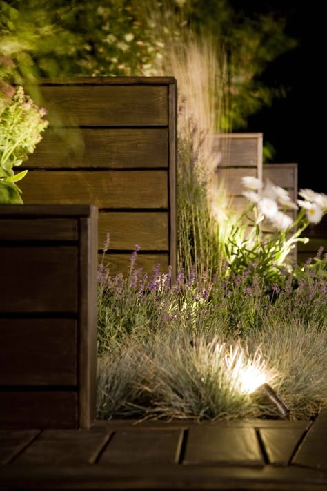 Modern Gardening, Florida Project, Garden Lighting Design, Garden At Night, Terraced Landscaping, Courtyard Ideas, Modern Mailbox, Landscape Lighting Design, Backyard Lighting