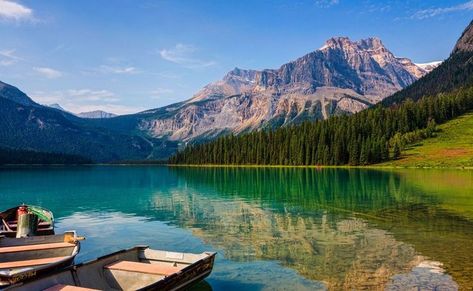 Nature Reflection, Water Forest, Hd Landscape, Mountains Vacation, Boat Lake, Mountain Summer, Wallpaper Landscape, Forest Sunset, Nature Background Images