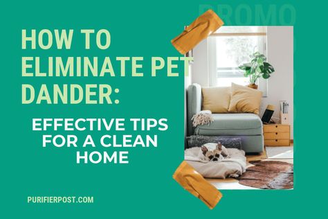 Check out my latest blog article: How to Eliminate Pet Dander: Effective Tips for a Clean Home 👉🏽👉🏽 https://purifierpost.com/how-to-eliminate-pet-dander-effective-tips-for-a-clean-home/ Allergy Shots, Sinus Congestion, Pet Allergies, Asthma Attacks, Nasal Spray, Pet Shampoo, Pet Hair Removal, Runny Nose, Pet Dander