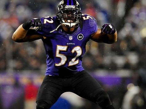 Ravens linebacker Ray Lewis lost for the season Demetrius Johnson, Acl Injury, Ja Morant Style, Face Blur, Ed Reed, Football Motivation, Nfl Wallpaper, Football Drip, Baltimore Ravens Football