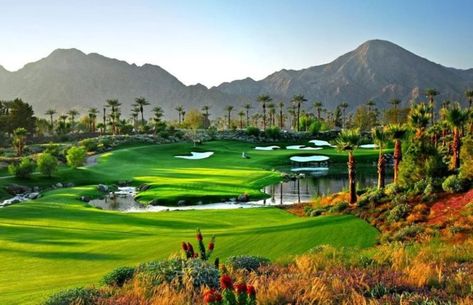 The Top 10 Golf Courses in Palm Springs Palm Springs Golf, Top Golf Courses, Palm Desert California, Famous Golf Courses, Public Golf Courses, Palm Spring, Best Golf Courses, Golf Trip, Palm Springs California