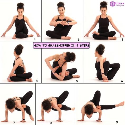 Yoga Poses For Beginners Videos, Partner Yoga Poses For Beginners, Arm Balance Yoga Poses, Poses For Digestion, Grasshopper Pose, Yoga Poses For Digestion, Yoga Arm Balance, Asana Yoga Poses, Yoga Positionen