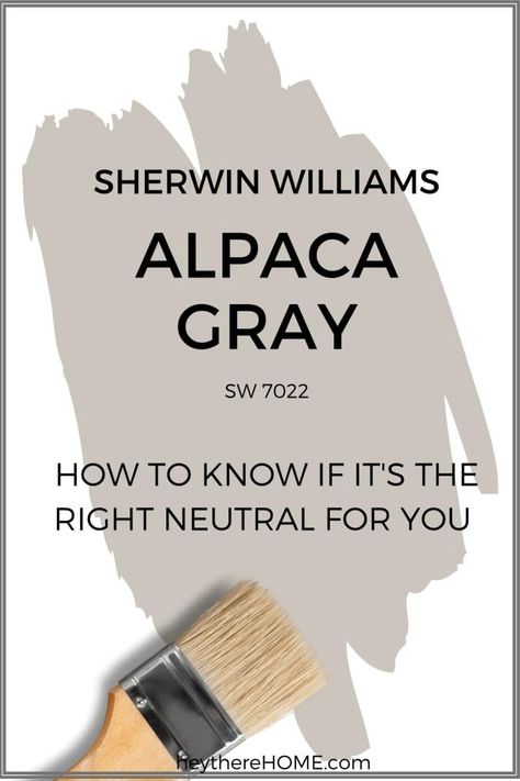 What Color Is Sherwin Williams Alpaca Gray Paint? Alpaca Sherwin Williams Bedroom, Sw Alpaca Paint Color Scheme, Sherwin Williams Alpaca Cabinets, Best Gray Paint Colors Sherwin Williams, Sherwin Williams Alpaca Color Scheme, Sw Alpaca Paint, Amazing Grey Sherwin Williams, Alpaca Paint Color, Modern Gray Color Palette