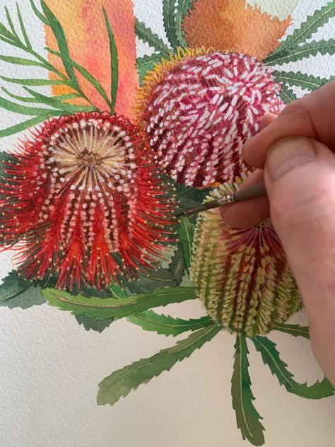 Australian Native Flower Paintings, Australian Native Flower Painting, Banksia Watercolour Painting, Australian Flowers Watercolour, Australian Native Flowers Watercolour, Banksia Flower, Australian Natives, Australian Native Flowers, Native Flowers