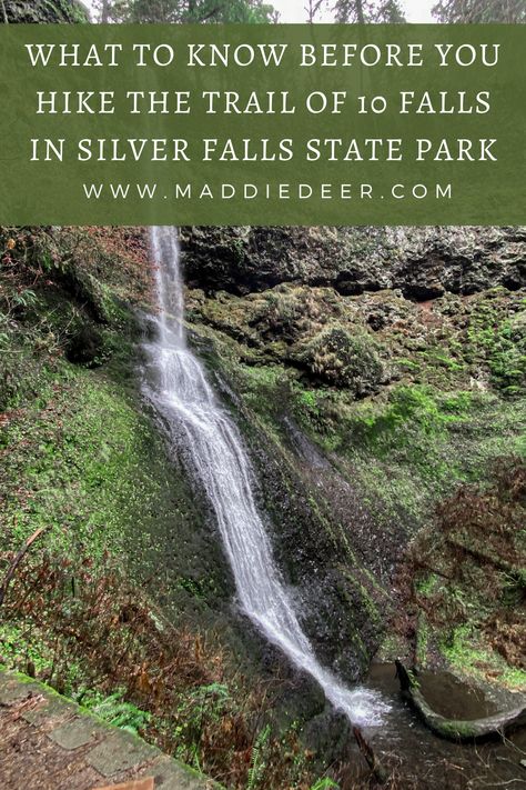 The Trail of 10 Falls in Silver Falls State Park is a hike with several waterfalls along the way near Salem Oregon. If you are traveling Oregon or looking for your next hike near Portland, this is a must-see. This beautiful hike is located just an hour and a half from Portland! It's great for all levels of hiking and all ages. Trail Of 10 Falls Oregon, Silver Falls State Park Oregon, Lincoln Oregon, Silver Falls Oregon, Portland Oregon Travel, Silverton Oregon, Silver Falls State Park, Thailand Honeymoon, Explore Oregon