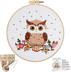 Outline For Embroidery, Owl Embroidery Pattern, Finish Embroidery, Embroidery Beginners, Plastic Embroidery, Owl Outline, Fabric With Pattern, Embroidered Owl, Stamped Embroidery Kit