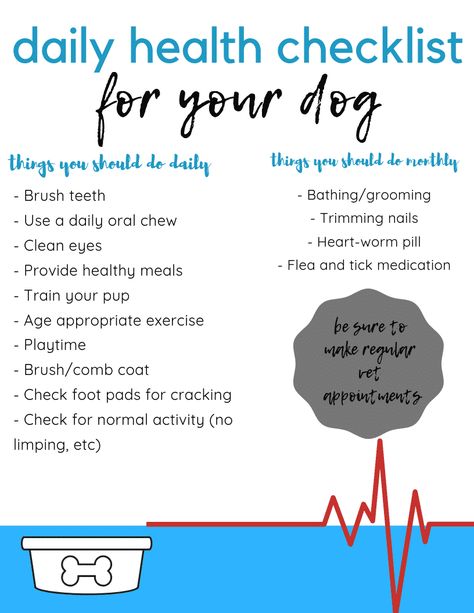 Daily Health Checklist, Health Checklist, Dog Care Checklist, Dog Infographic, Basic Dog Training, Dog Health Tips, Dog Nutrition, Best Dog Training, Puppy Care