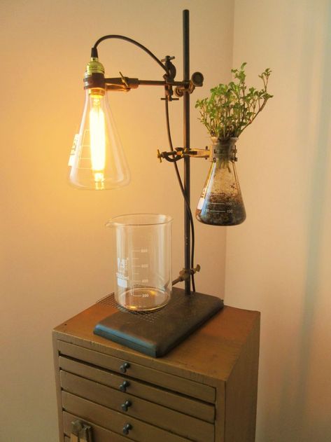 Home Laboratory Design, Chemistry Glassware Decor, Lab Glassware Decor, Chemistry Home Decor, At Home Laboratory, Laboratory Decorations Ideas, Old Laboratory Aesthetic, Science Home Decor, Science Bedroom Aesthetic