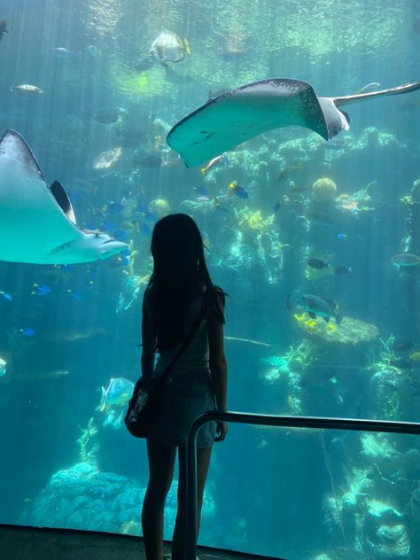 Aquarium Trip, Aquarium Pics, Chicago Aquarium, Aquarium Of The Pacific, Aquarium Pictures, Chicago Summer, Dream Friends, I Love My Friends, Insta Photo Ideas