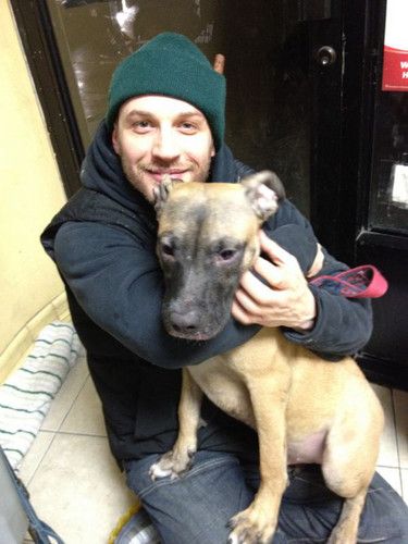 Tom Hardy With Dogs, Tom Hardy Boyfriend Material, Tom Hardy Dog, Tom Hardy Photos, Man And His Dog, Animal Rescue Center, Thomas Hardy, Tom Hardy, Henry Cavill