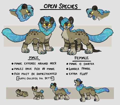 Shoaleo species guide by nekuroSilver on DeviantArt Fursuit Species, Custom Creatures, Oc Species, Species Ideas, Species Design, Open Species, Original Species, Species Guide, Closed Species