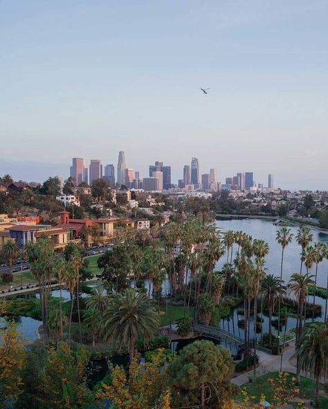 Echo Park Lake, Los Angeles Wallpaper, Popular Places, La Jolla Cove, City Vibes, Commonplace Book, Los Angles, Santa Monica Pier, Summer Destinations