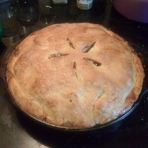 Hot Water Pie Crust I Recipe | Allrecipes Hot Water Pie Crust Recipe, Hot Water Pie Crust, Hot Water Pie, Water Pie, Hot Water Crust, Hot Water Crust Pastry, Manna From Heaven, Pastry Pie Crust, Vegetarian Pot Pie