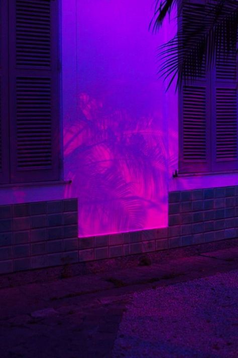 Synth Wave, Gang Aesthetic, House Of Balloons, Girl Gang Aesthetic, Purple Vibe, Modern Magic, Funny Girly Quote, Dream Aesthetic, Vaporwave Aesthetic