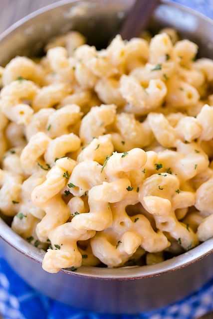 Stovetop Alfredo Mac & Cheese - ready in 10 minutes! We make this all the time! SO easy and SOOOO delicious! Only 5 ingredients! Pasta tossed in jarred Alfredo sauce, cheddar cheese, parmesan cheese and garlic. Perfect weeknight side dish. Great with steak, chicken and pork. Recipe Using Alfredo Sauce, Cheese Alfredo Sauce, Jarred Alfredo Sauce, Sauce Cheddar, Pasta Broccoli, Shell Pasta Recipes, Best Mac N Cheese Recipe, Pasta Primavera Recipe, Making Mac And Cheese