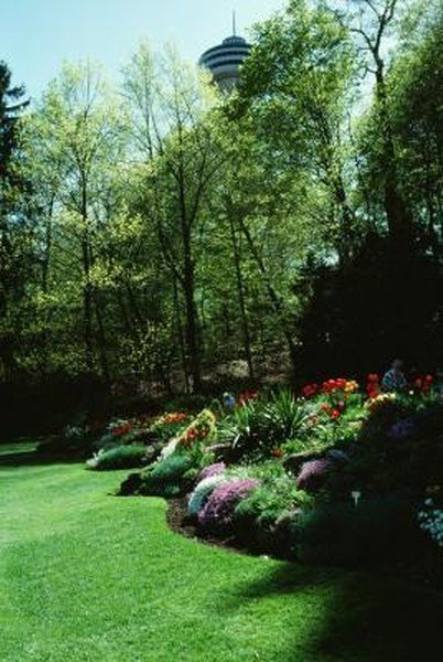 Landscape Mounds, Areas Verdes, Garden Shrubs, Glass Garden, Ideas Garden, Landscaping With Rocks, Garden Soil, Trees And Shrubs, Lawn And Garden