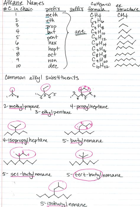 Organic chemistry nomenclature, alkane names, common substituents Organic Chemistry Cheat Sheet, Organic Chemistry Notes, Organic Chemistry Reactions, Chemistry Help, Organic Chem, Organic Chemistry Study, Chemistry Study Guide, Chemistry Basics, Study Chemistry