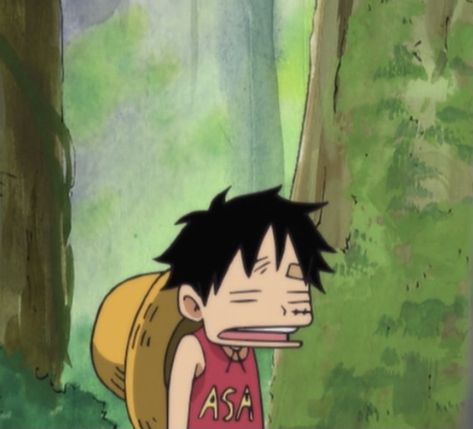 Luffy Low Quality, Baby Luffy, Latina Fits, Anime Meme Face, رورونوا زورو, One Piece Photos, One Piece Meme, One Piece Funny, One Peice Anime