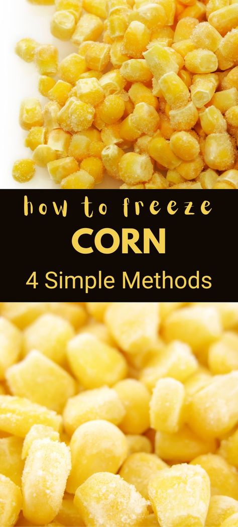 A Pinterest pin showing different ways to freeze corn, including kernels and whole cobs. Simple and easy methods to help you enjoy fresh corn year-round. #FreezingCorn #KitchenHacks #FoodStorage Freezer Corn Recipe No Cook, Sweet Corn Freezer Recipe, Freezing Fresh Corn Without Blanching, Freezing Sweet Corn Without Blanching, Freezer Corn Recipe, How To Freeze Fresh Sweet Corn, Best Way To Freeze Corn, Freezing Fresh Corn, Freezing Corn