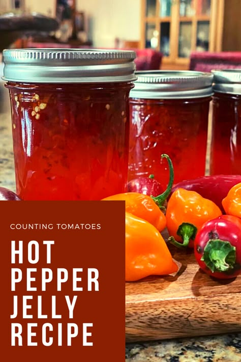 How To Make Hot Pepper Jelly, Jalapeño Red Pepper Jelly, Chili Jelly Recipe, Fresno Pepper Jelly, Hot Red Pepper Jelly Recipe Canning, Sure Jell Pepper Jelly Recipe, Pepper Jelly Recipes For Canning, Hot Pepper Jelly Recipe Sure Jell, Homemade Hot Pepper Jelly