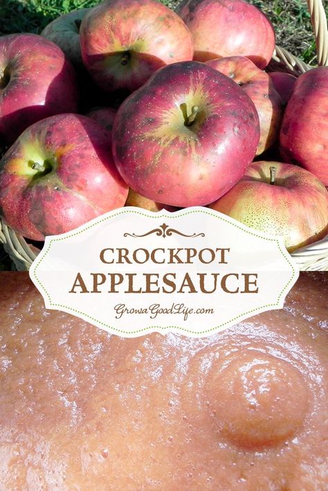 Crockpot Applesauce Recipe, Healthy Eating Kids, Crockpot Applesauce, Applesauce Recipe, Macintosh Apple, Apple Sauce Recipes, Homemade Applesauce, Slow Cooked Meals, Apple Sauce