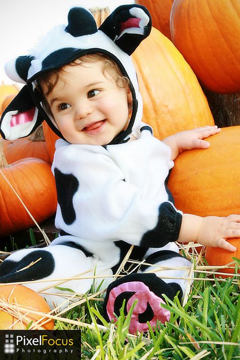 Ar Photography, Infant Halloween, Cow Photography, Photo Halloween, Baby Cows, Halloween Photos, Halloween 2020, Baby Halloween Costumes, Vintage Dolls