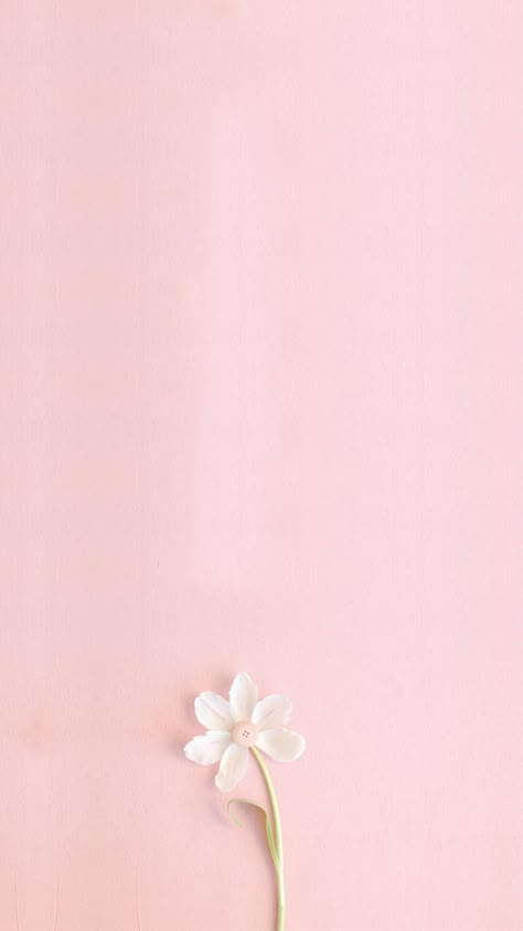 pink,literature and art,fresh,flowers,h5,small fresh,simple,literature,art,small,white Blank Wallpaper, Pastel Pink Wallpaper, Girly Wallpaper, Pink Flowers Wallpaper, Wallpapers Phone, Flowers Wallpapers, Trendy Flowers, Trendy Wallpaper, Flower Background Wallpaper