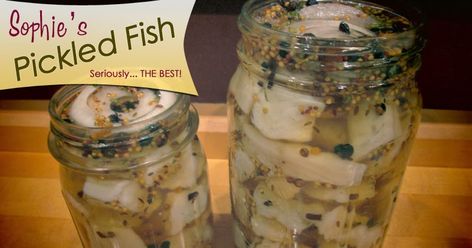 Sophie's Pickled Fish - Seriously... THE BEST! This recipe is extremely easy and delicious. Just follow the detailed, step-by-step instru... Northern Pike Recipe, Pickled Herring Recipe, Pike Recipes, Pickled Fish Recipe, Pickled Meat, Dehydrated Recipes, Osso Buco Recipe, Pickled Fish, Herring Recipes