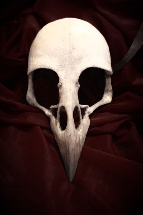 Bone Mask Drawing, Vulture Skull Drawing, Vulture Mask, Prey Aesthetic, Vulture Skull, Strange Images, Mask Drawing, Crow Skull, Vulture Culture