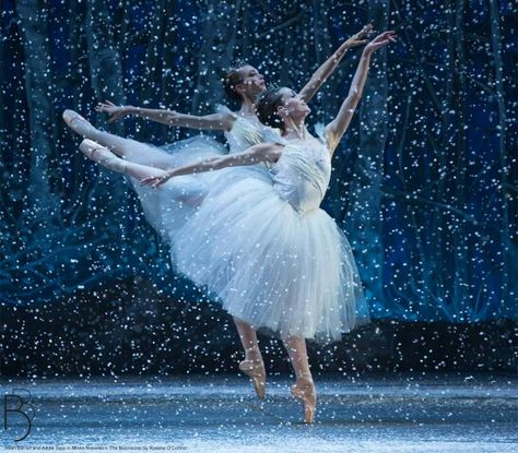 The Nutcracker, Boston Ballet Nutcracker Ballet Aesthetic, Romeo I Julia, Boston Ballet, Ballet Aesthetic, Tutu Ballet, Dance Dreams, Ballet Inspiration, Ballet Art, Ballet Photos