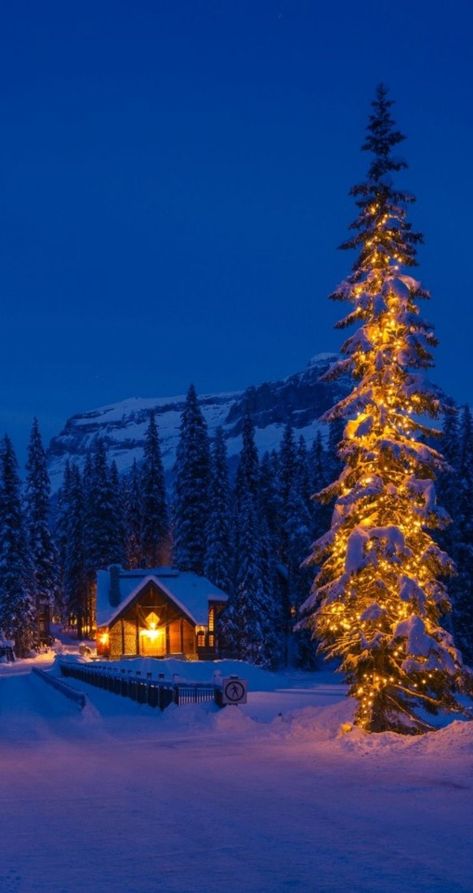 Beautiful Winter Pictures, Winter Board, Christmas Dreaming, Desktop Background Pictures, Christmas Scenery, Cute Christmas Wallpaper, Scenery Pictures, Winter Cabin, Winter Photos