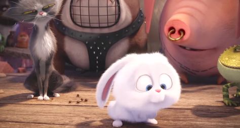 The Secret Life of Pets (2016), Kevin Hart (Snowball) Snowball Rabbit, Pet Trailer, Disney Mignon, Lake Bell, Pets Movie, Rabbit Wallpaper, Cute Bunny Cartoon, Secret Life Of Pets, Pet Rabbit