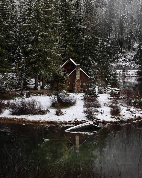 Cabin Woods, Living In The Woods, Snowy Cabin, Forest Life, Little Cabin In The Woods, A Cabin In The Woods, Cabin Aesthetic, Cabin Core, Forest Cabin