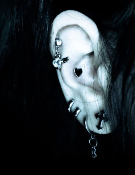 Goth Ear Piercings, Piercings Idea, Emo Piercings, Full Ear Piercings, Goth Piercings, Dream Piercings, Ear Peircings, Cool Piercings, Cute Piercings