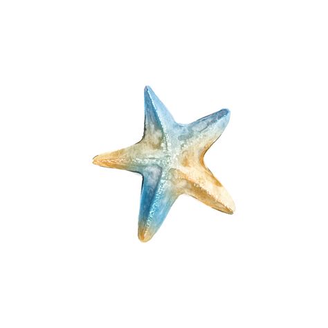 Starfish Clipart, Watercolor Starfish, Mermaid Phone, Beach Wallpaper Iphone, Pinterest Widget, Beach Wall Collage, Beach Icon, Screen Icon, Summer Icon