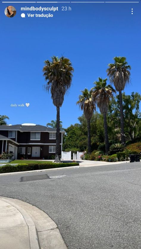 Los Angeles life California palm trees summer day blue sky warm weather inspo aesthetic moodboard lifestyle hipergamy luxury Los Angeles Ig Stories, Los Angeles Luxury Lifestyle, Los Angeles Lifestyle Aesthetic, Los Angeles House Aesthetic, Los Angeles Instagram Story, Beverly House, Los Angeles House, Los Angeles Aesthetic, La House