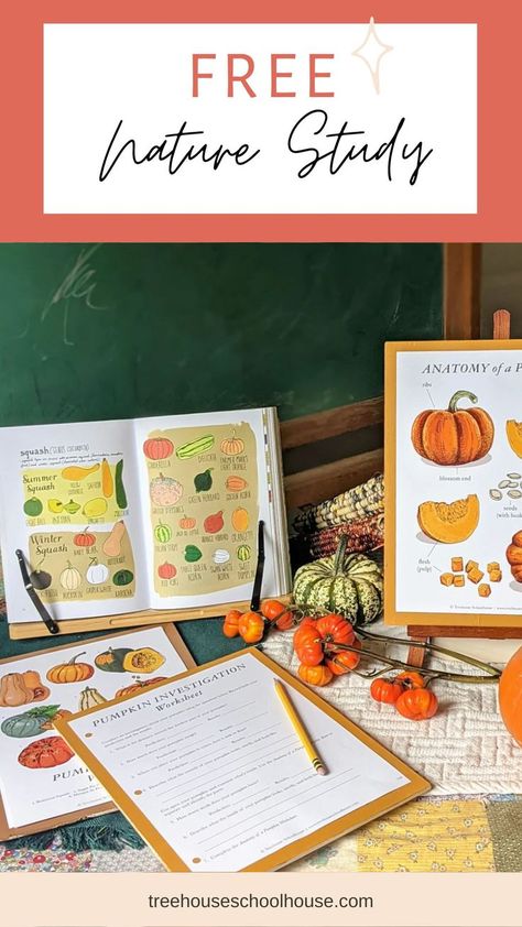 Homeschool Pumpkin Activities, Fun Fall Homeschool Ideas, Pumpkin Nature Study, Homeschool Nature Study Free Printables, October Homeschool Ideas, November Homeschool Ideas, Nature Study Preschool, Fall Homeschool Activities, Fall Nature Study