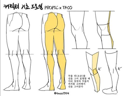 when drawing the dent behind the knee, consider the location of the knees before drawing the line which defines the form. Leg Reference, Leg Anatomy, Drawing Legs, Anatomy Tutorial, Human Anatomy Drawing, Body Drawing Tutorial, Manga Drawing Tutorials, Human Anatomy Art, Anatomy For Artists