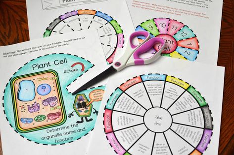 Plant Cell Project Ideas Models, Plant Cell Activity, Plant Cells Project Ideas, Plant Cell Project, Foldables Templates, Animal Cells, Plant And Animal Cells, Cells Project, Cell Model