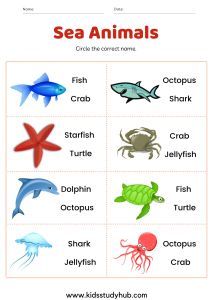 Animals Chart, English Flashcards, Animal Worksheets, Aquatic Animals, Sea Animals, In Water, Jellyfish, Kids Learning, Starfish