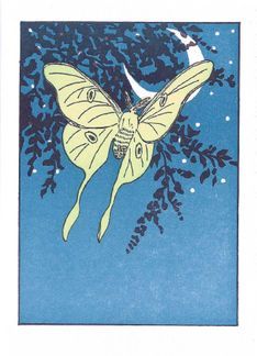 Moth Illustration, Nouveau Tattoo, Dorm Posters, Advent Calendars For Kids, Greeting Card Illustration, Luna Moth, Paint Cards, Letterpress Cards, Kids Calendar